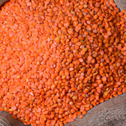 dal disponível para venda a preço inteiro e baixo, lentilha vermelha fresca preço de atacado lentilha vermelha / Masoor