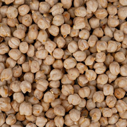 in bulk chickpea Great quality export grade chickpeas chickpeas
