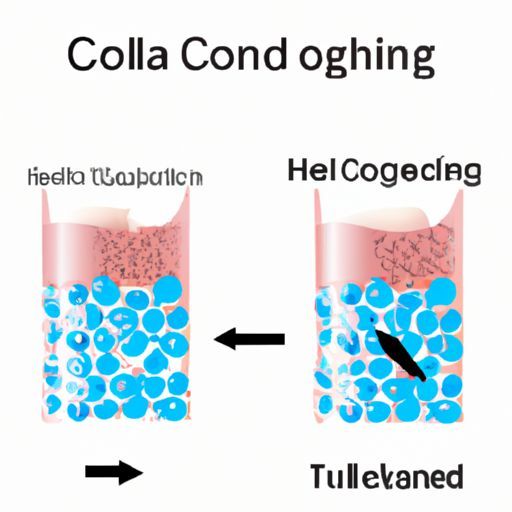 bột protein collagen nước hầm xương
