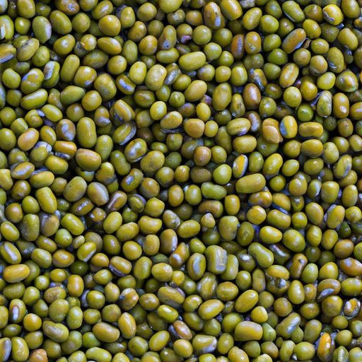ถั่วเขียวแห้งจีนขายส่งสีเขียวอินทรีย์เอธิโอเปียคาบูลีเจี๊ยบถั่วเขียวสด