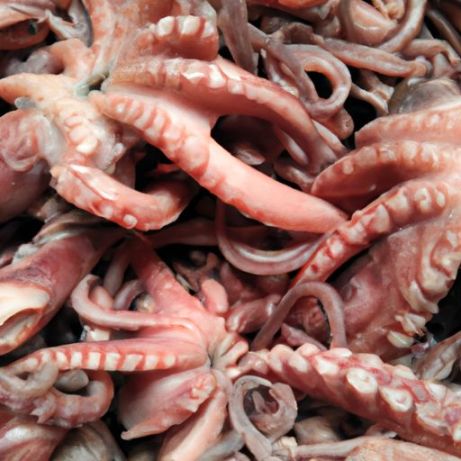 Bevroren Zeevruchten Koper Gedroogde Octopus beste kwaliteit oorsprong Indonesië Gekookt Beste Kwaliteitsproduct