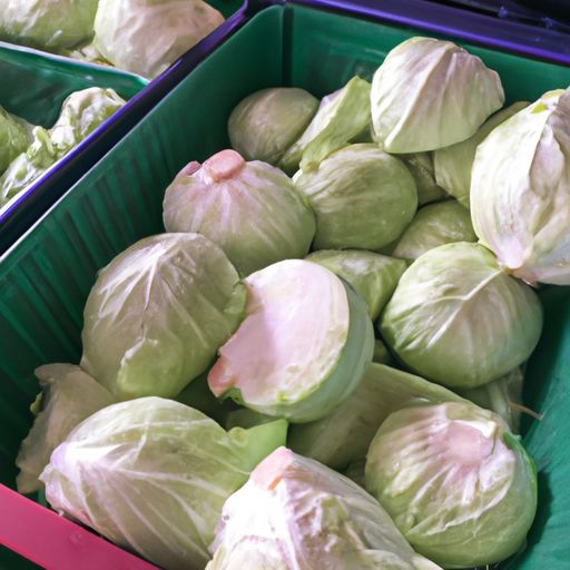 Care Products Best Selling Product cabbage with from Thailand Parkria Fresh Vegetables other Food Health