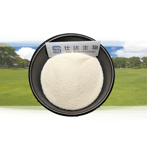 Powder Collagen Peptide Multiple Mineral Lowest Price