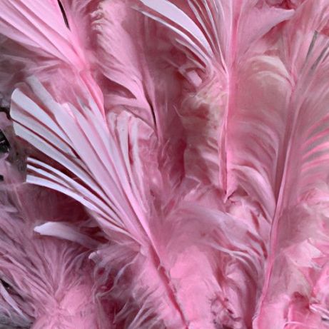 Costumes to Couture Wedding new arrival down material high Bouquets 30-35cm Dyed Goose Flight Wing Quill Feathers 10pcs DIY Crafts Millinery Pen