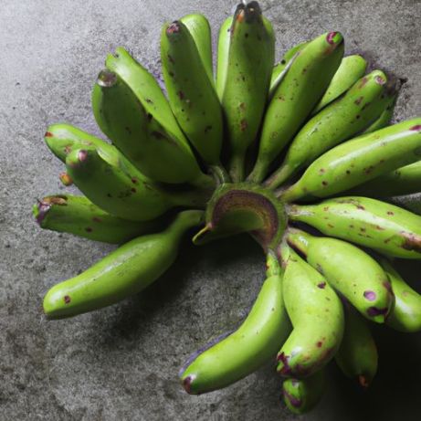 zu verkaufen, hochwertige grüne, frische Cavendish-Banane mit natürlichem Farbgewicht