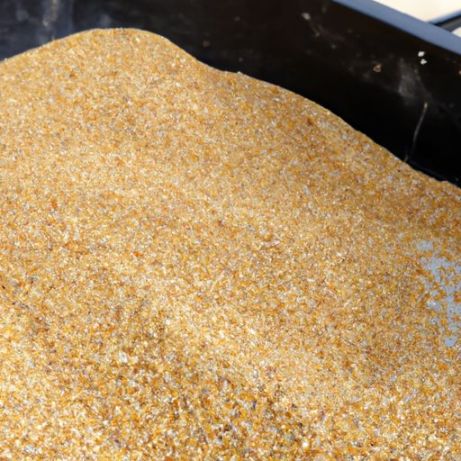 butir gandum curah untuk dijual gandum hitam musim dingin berkualitas Tanaman baru penggilingan gandum