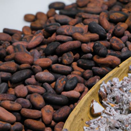 A Cacaobonen cacaopoeder witte tuinboon cacaoboter/cacao/chocoladeboon goedkope prijs goede kwaliteit gedroogde kwaliteit