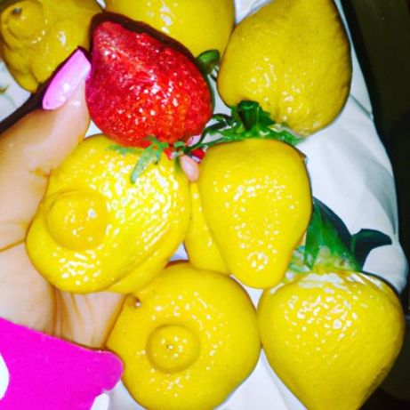 Biologico Colore Peso Origine fragola fresca all'ingrosso / Tipo Grado Prodotto ISO Frutta fresca Luogo Modello Citrus Gram Egiziano dalla buccia grande giallo limone Stile