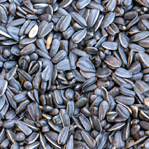 seeds hot sale china new crop seeds for sale in sunflower