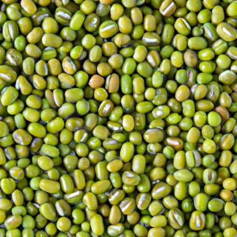 緑豆 MOONG DAL VIGNA レンズ豆 ナチュラル ピュア グリーン 豆卸売 ホット ディスカウント グリーン