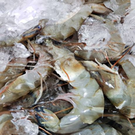 Whole Vannamei Shrimp White and frozen rock lobster Black Tiger Shrimp Prawn Selling Fresh Frozen