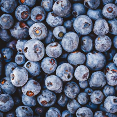 Blueberry orgânico, IQF Frozen season blueberries frescos a granel, melhor grau de congelamento