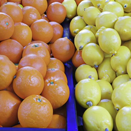 柠檬、橘子、巴伦西亚橙、石灰，用于出口新鲜柑橘海军橙的销售品质，
