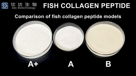 collagen thủy phân và collagen peptide