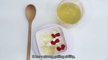 resep kaldu tulang gelatin