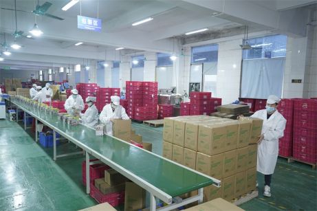 风干粘土中国最佳供应商，教育玩具批发商